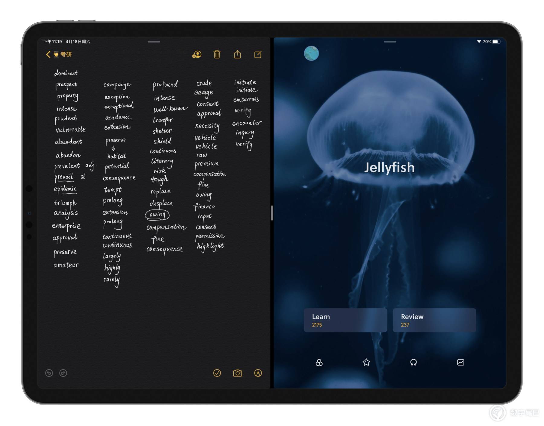 用这5款学习APP，如何打造一台学习型iPadPro2020「系列文二」