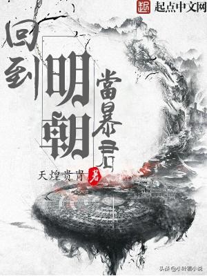 文笔严谨的明末历史小说,穿越明末历史小说十大巅峰之作