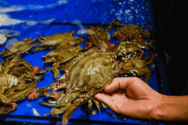 休渔期海鲜为什么涨价,今年威海休渔期最新政策