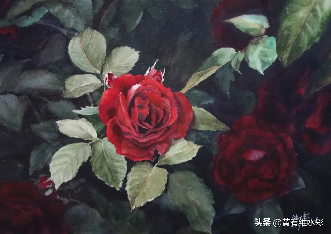 一个理工男的避坑指南,水彩入坑第一天