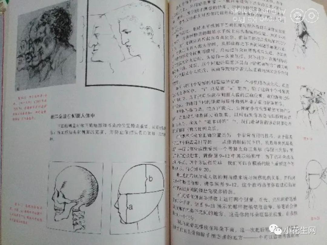从零开始学绘画简单入门教程,从零开始学绘画必备的画