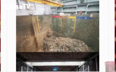 蟑螂大王每天处理50吨垃圾,3亿只蟑螂每天处理近15吨厨余垃圾