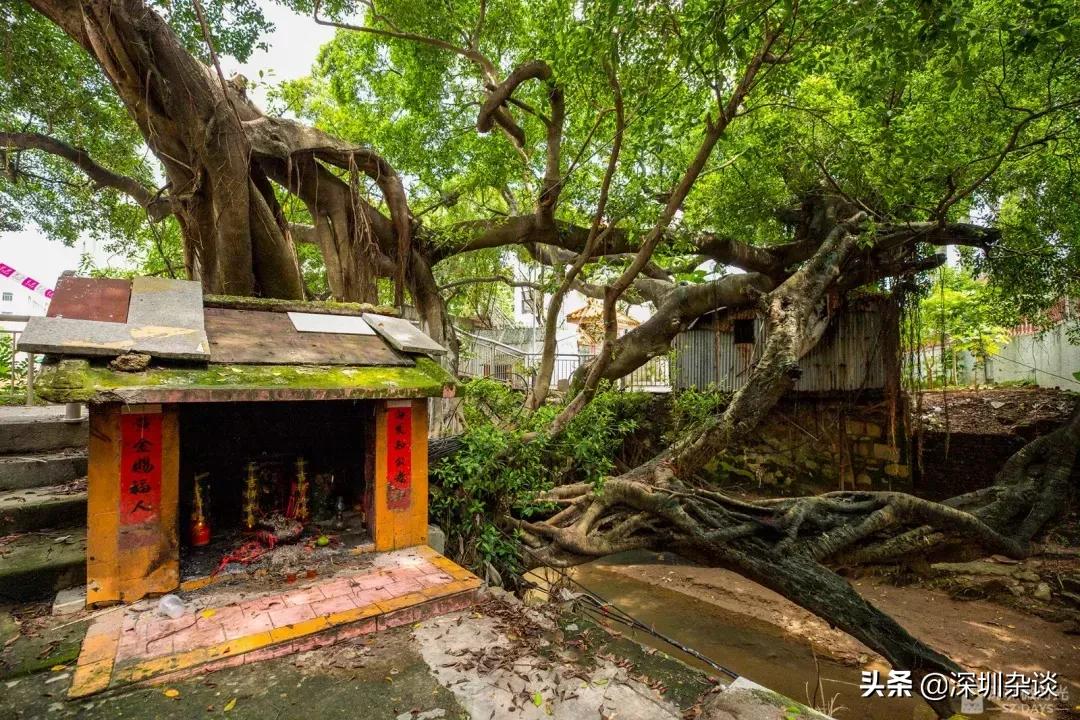 客家十大豪宅,岭南客家豪宅
