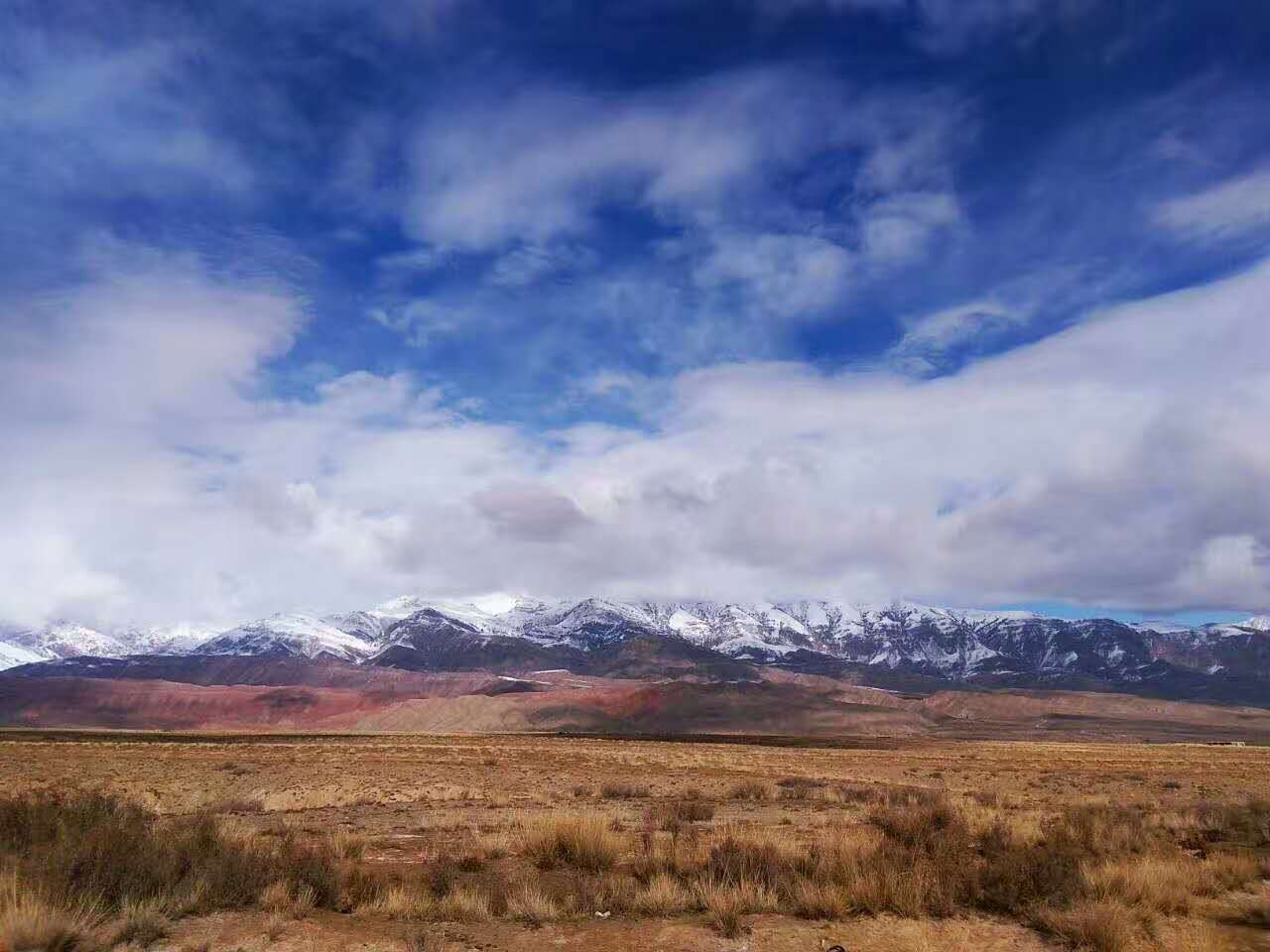 石油行业现在好就业吗,石油专业行业分析