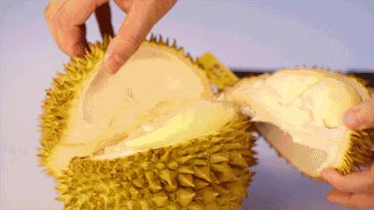 热带水果榴莲,热带水果之王是什么