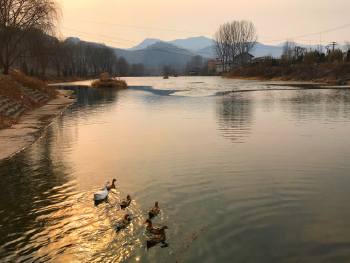 您所不知道的高氏祠堂文化,关中民俗社火视频大全