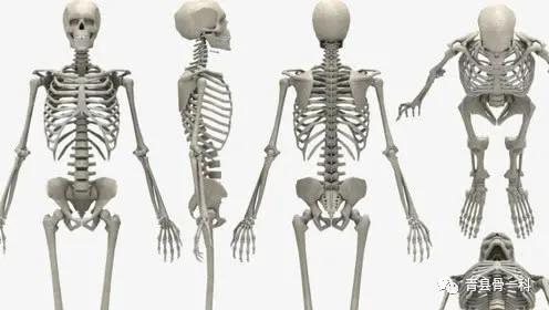 骨科诊断常见50种检查方法,检查甲状腺疾病需要检查哪些