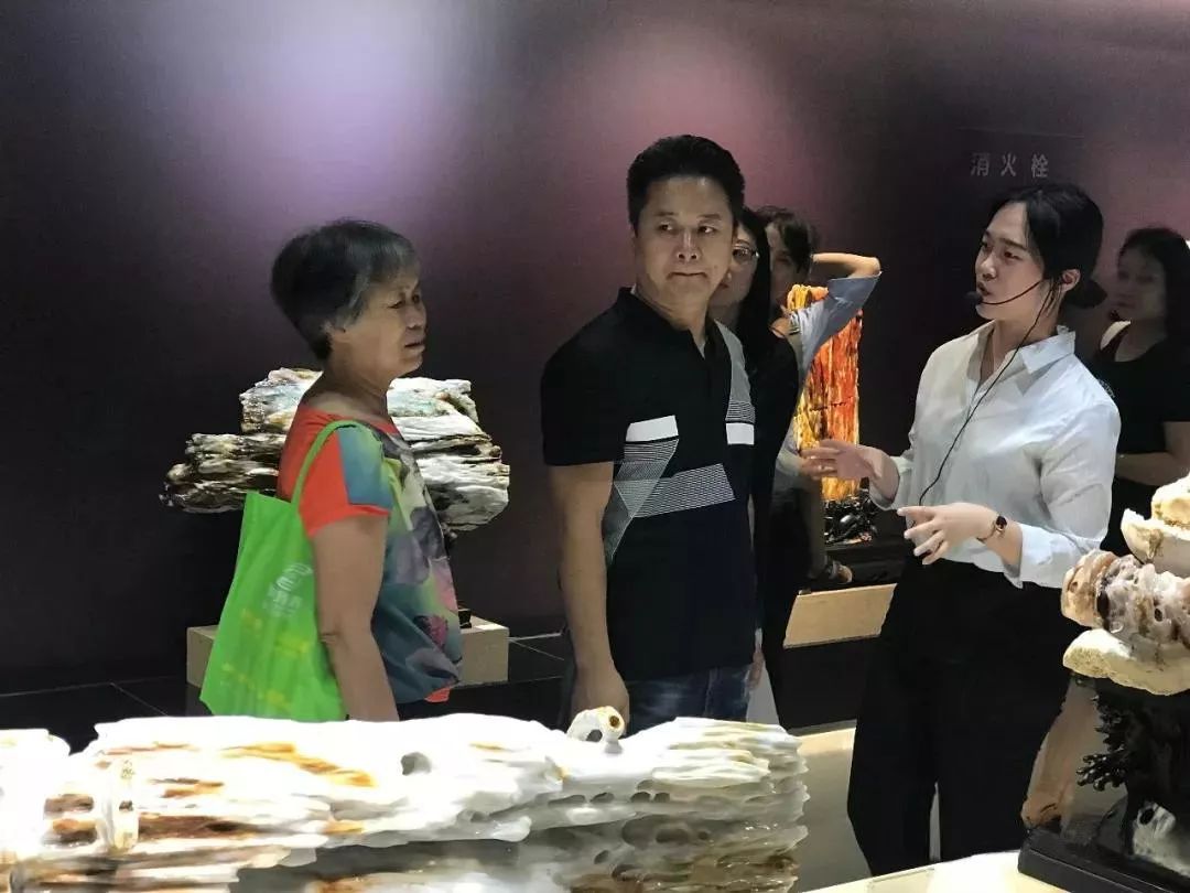 深圳红立方奇石展馆——城市中的一片自然