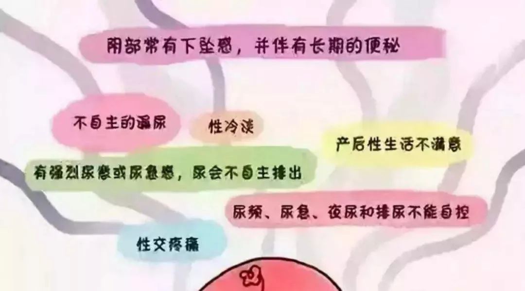 盆底健康知识讲座大全,关爱女性盆底健康课程