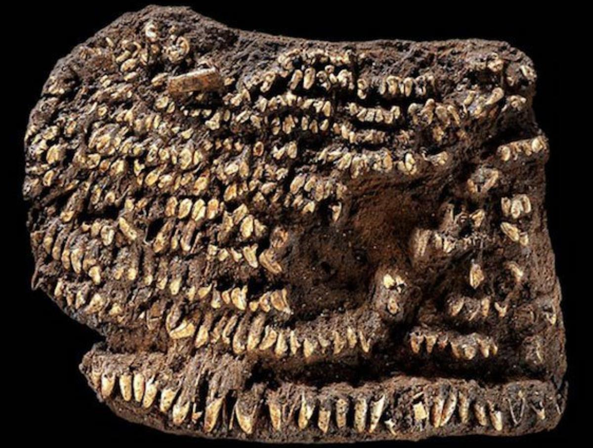 看看我们今天使用的东西，它的最初版本