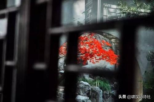 谁怜篱菊花将尽，犹记前朝香满庭——啸汉马诗社雅集第二十二辑