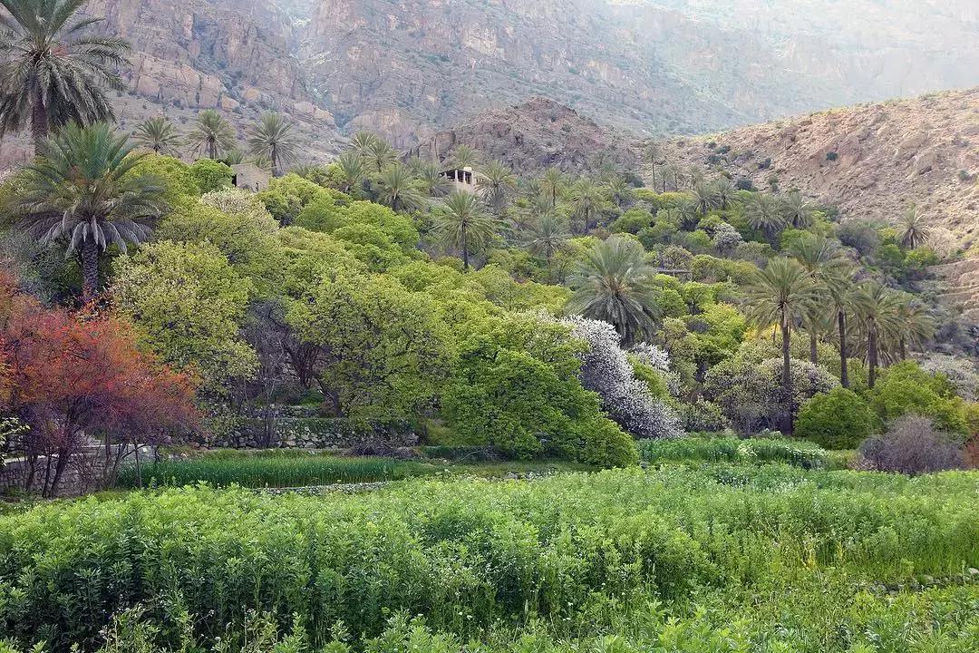 中国最受欢迎的顶级野奢酒店,中国最受欢迎的顶级野奢酒店合集