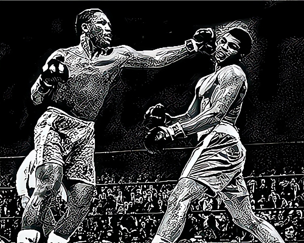 拳力以赴张伦硕辰亦儒,拳力张大大