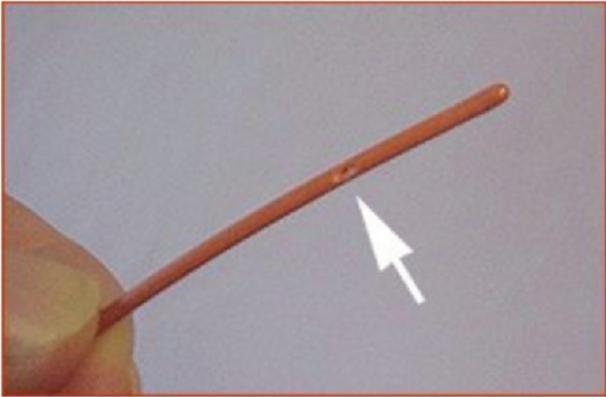 幼猫胃管使用方法,庄园猫宫