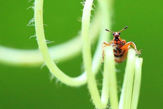 为什么漂亮的女生总是招同性嫉妒,女人怎么应对来自同性的嫉妒