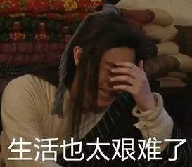 德国爱他美白金有什么版,爱他美德国白金版优点和缺点