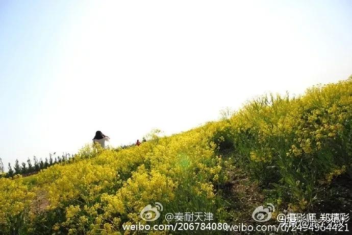 现在的天津静海,天津骄傲的大静海