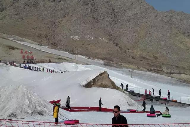 谁说冬天只有严寒,谁说大西北的荒漠寸草不生