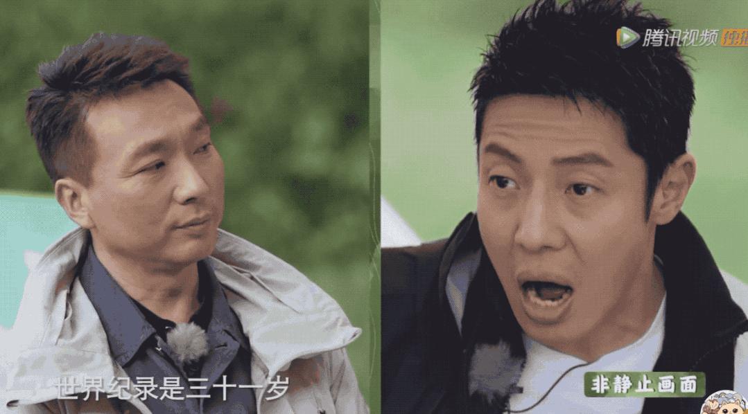 没想到,央视的名嘴们全都是猫奴