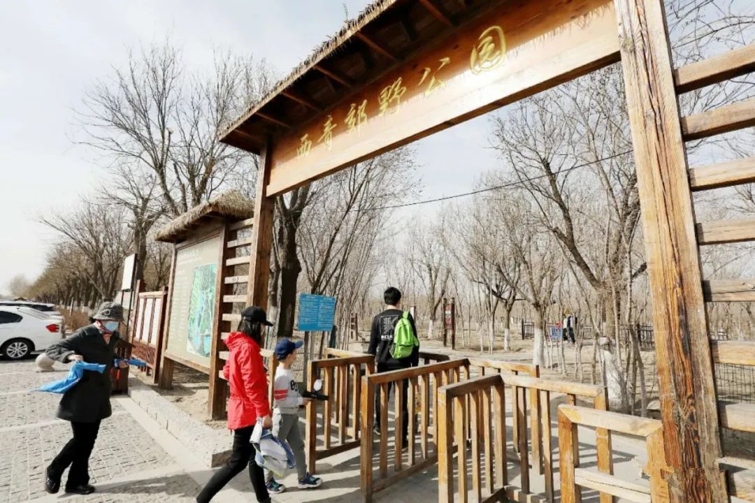 天津市五一新开放的公园,天津地区春暖花开的时间