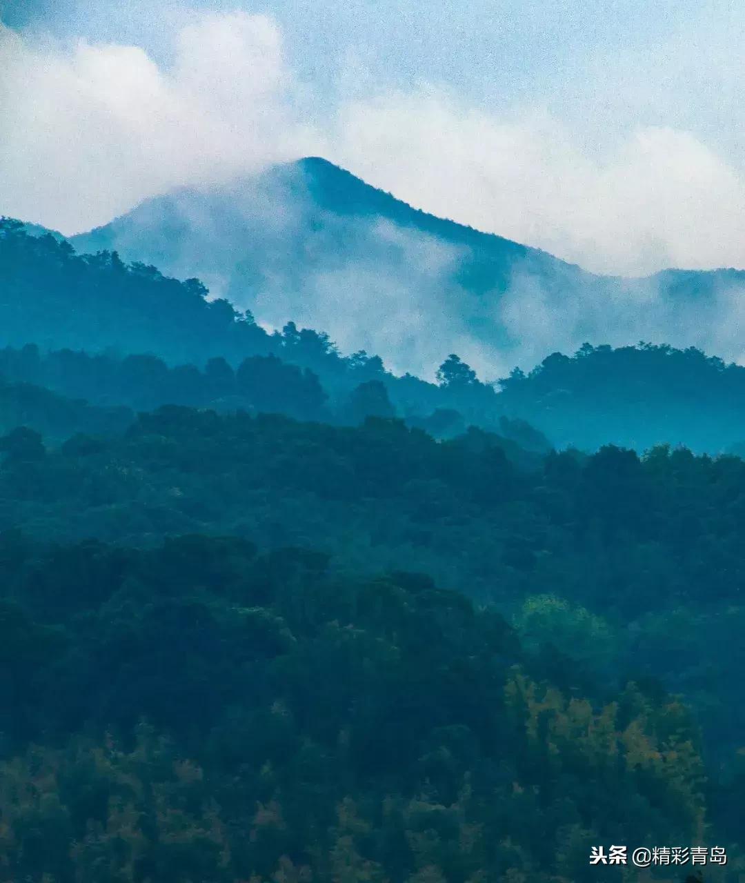 什么是麻雀定律,什么是应激反应表现有哪些