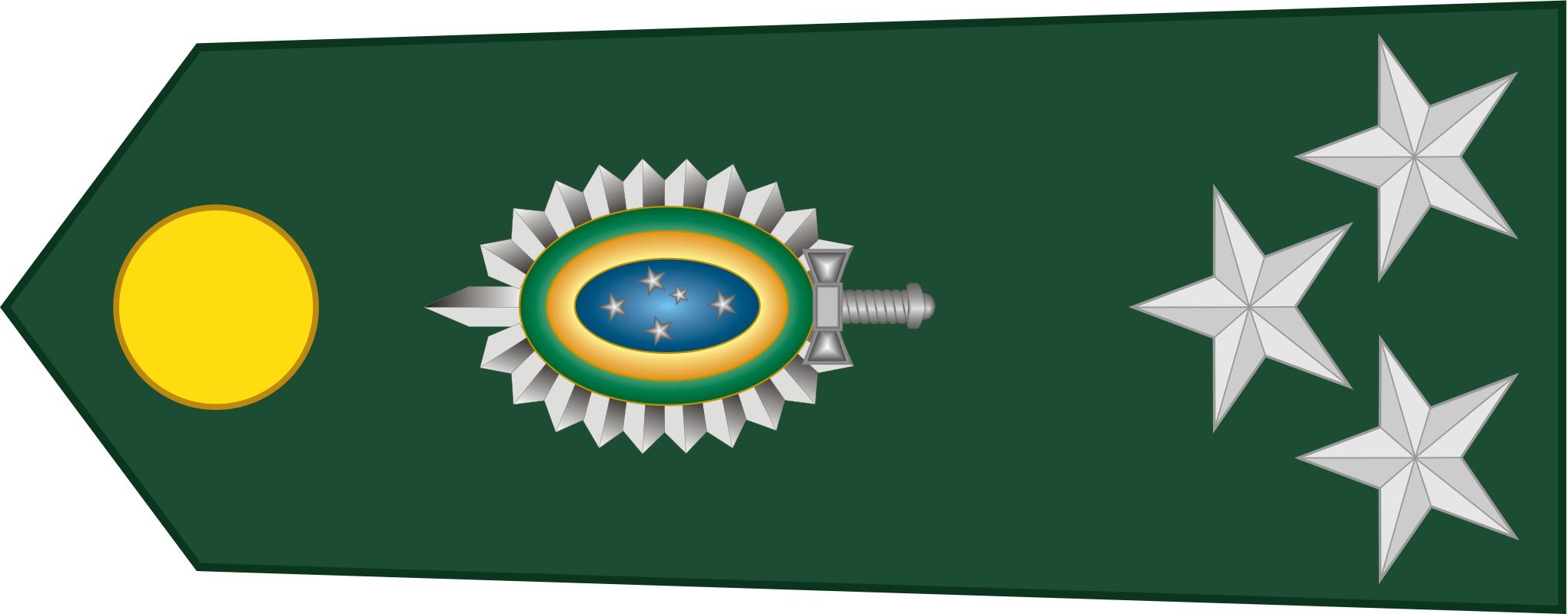 巴西军队标志,巴西海军军衔