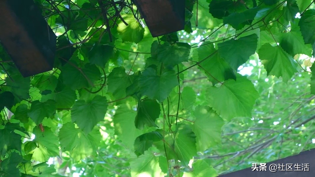 「教育社区」艰苦磨砺，勤思创新，戴氏教育让学习不再枯燥