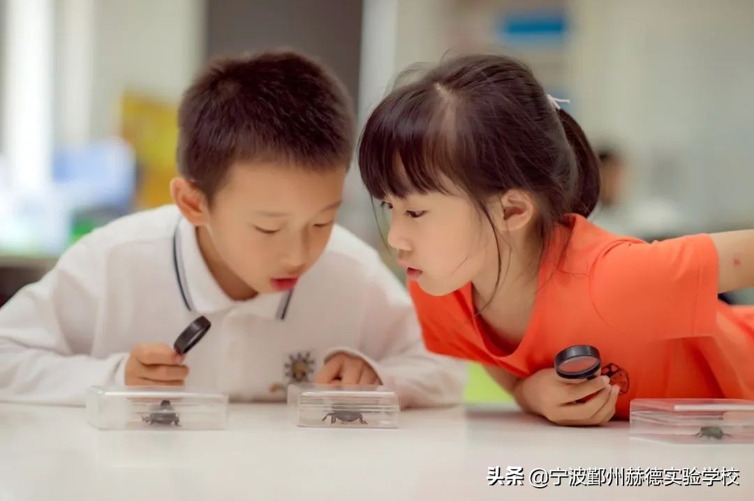 宁波鄞州赫德实验学校的课程表,宁波赫德实验学校报名