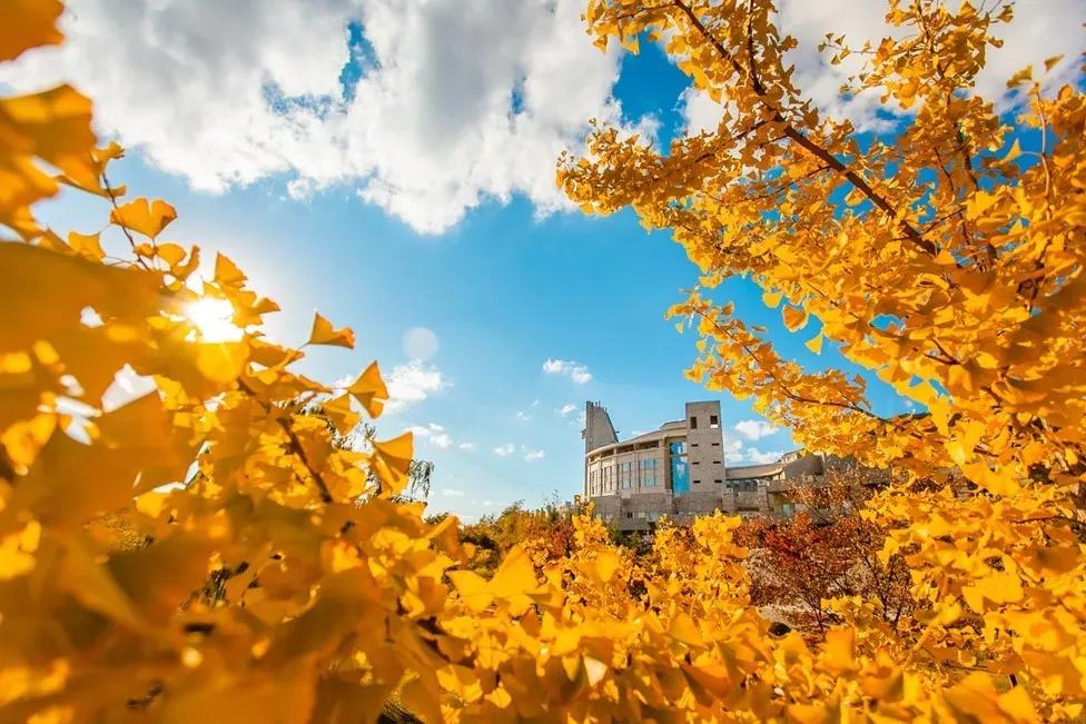 辽宁省民办大学（二）大连东软信息学院