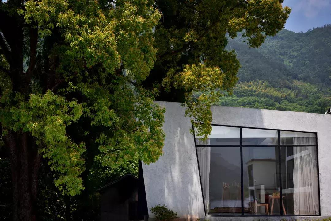 C位出道的千岛湖绝版亲水民宿！要把千岛湖最美的景装进房间……