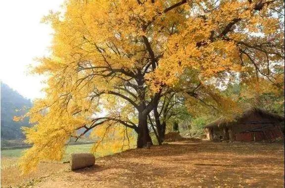 12月旅游最值得去的地方,12月份最美的旅行目的地