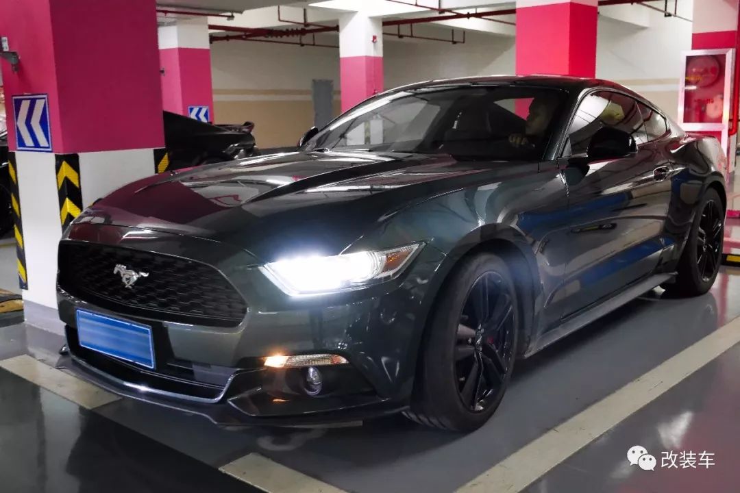 福特mustang杭州,杭州福特野马车友会