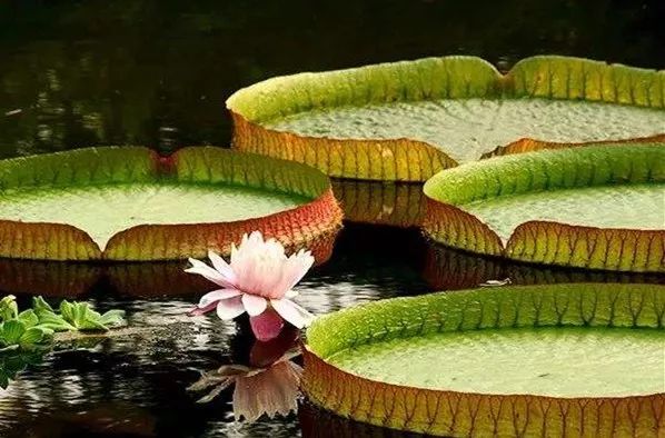 在地球的另一端相遇,在地球的另一端完整版