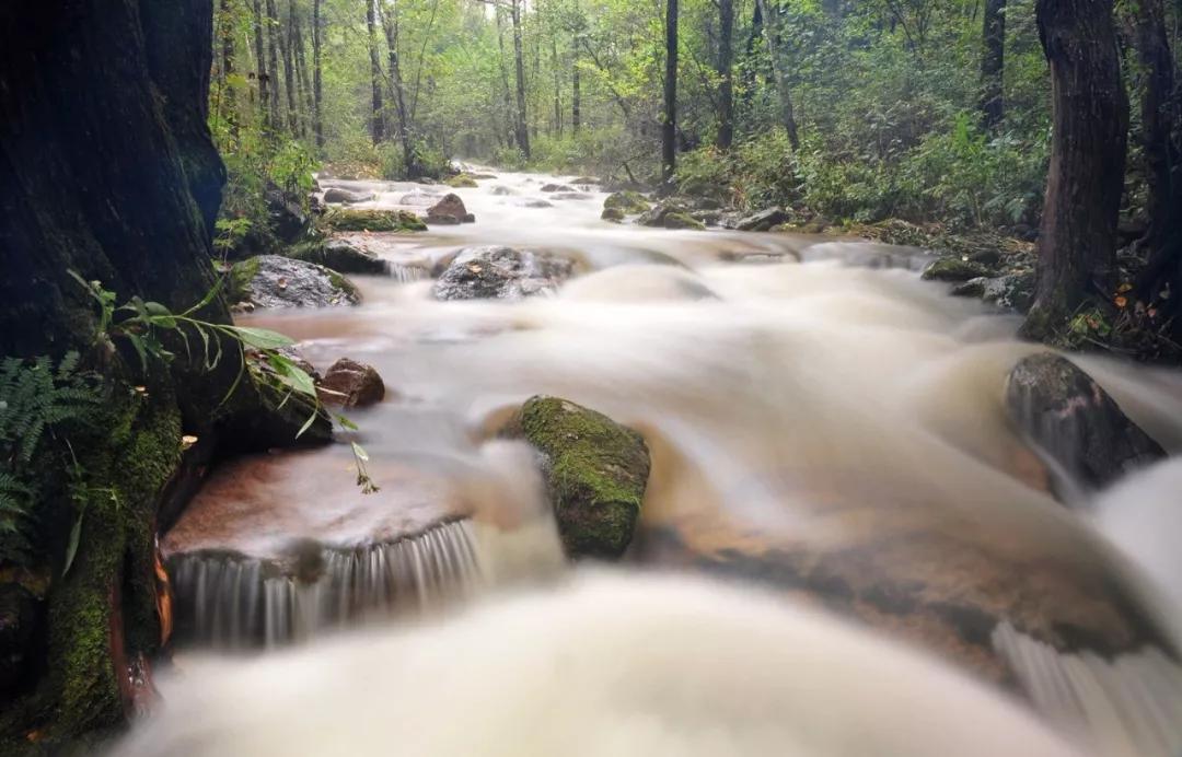 50首经典诗词长江,长江之美的七绝诗