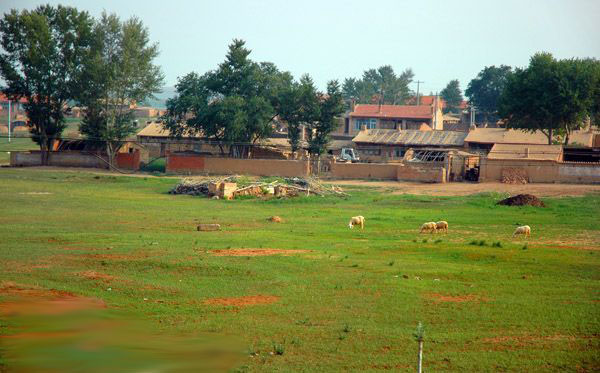 四子王旗乌兰花镇,乌兰花为什么叫四子王旗