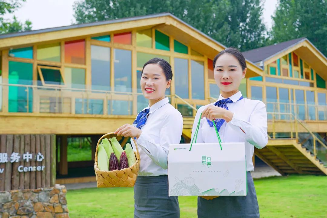 甜玉米新货上市,超级甜糯玉米新品种