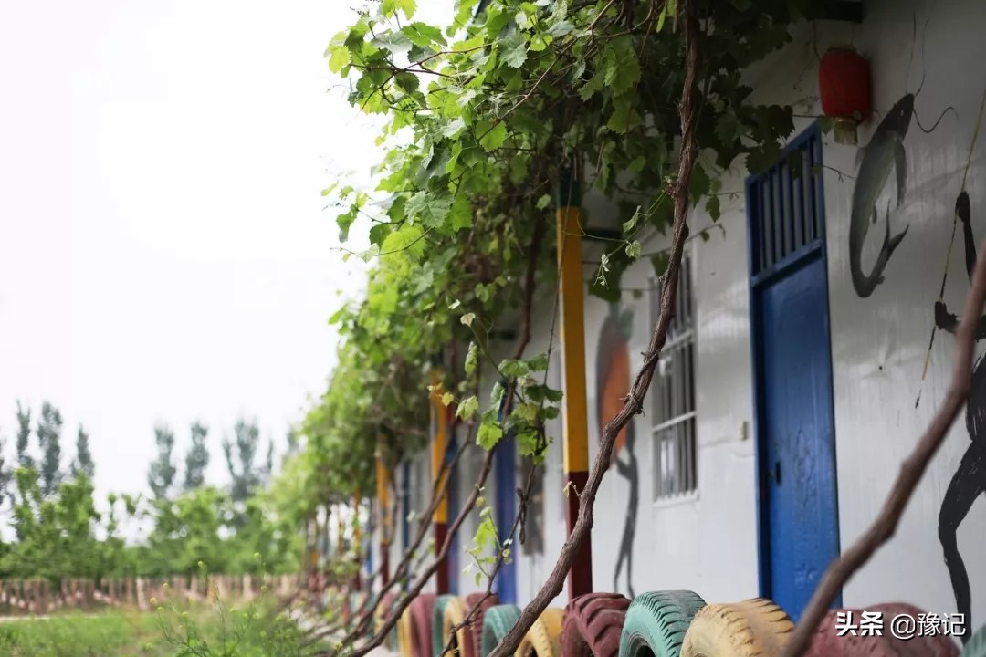 90后姑娘从城市回四川农村,90后姑娘从城市回到四川农村