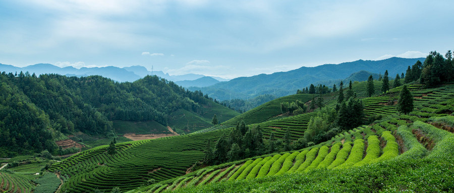 军官证去景区会留记录吗,军官证免票会查真假吗