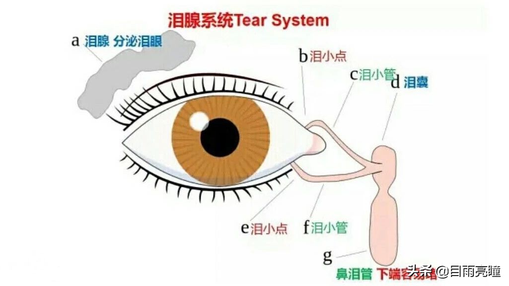 一直流泪是泪道病吗,容易流眼泪是不是泪道阻塞