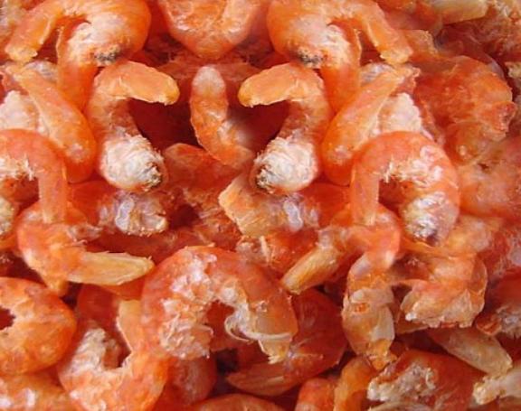 买海米，聪明人挑选有技巧，便宜小心上当，学会老板不敢忽悠你