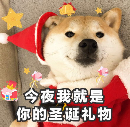 圣诞节表情包我想吃什么,圣诞节快乐表情包可爱