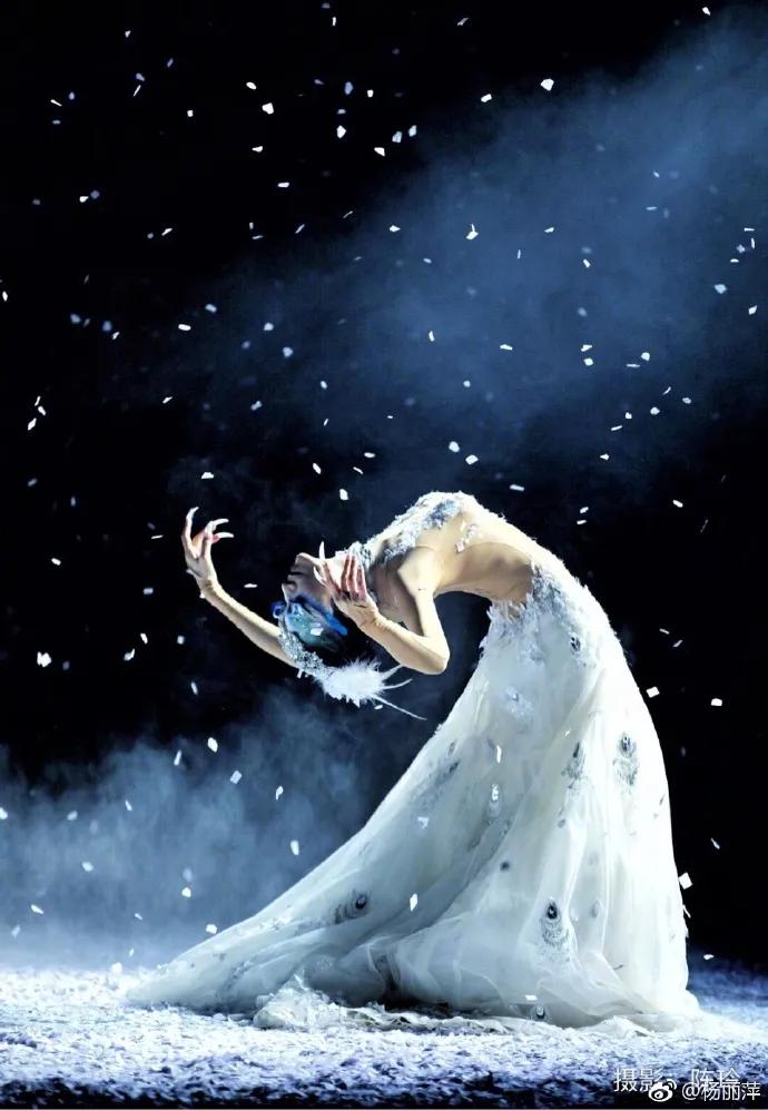 有一种向往叫西双版纳,有一种向往叫诗和远方完整版