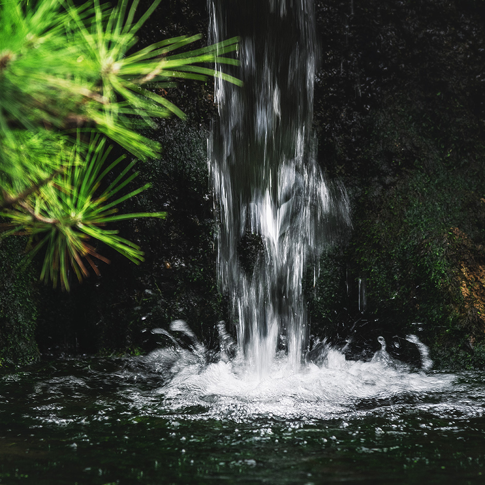 趵突泉诗赵孟頫创作背景,赵孟頫的趵突泉诗