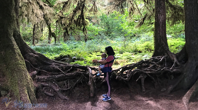 怎么带两岁小孩旅游,适合带3岁小孩去旅行