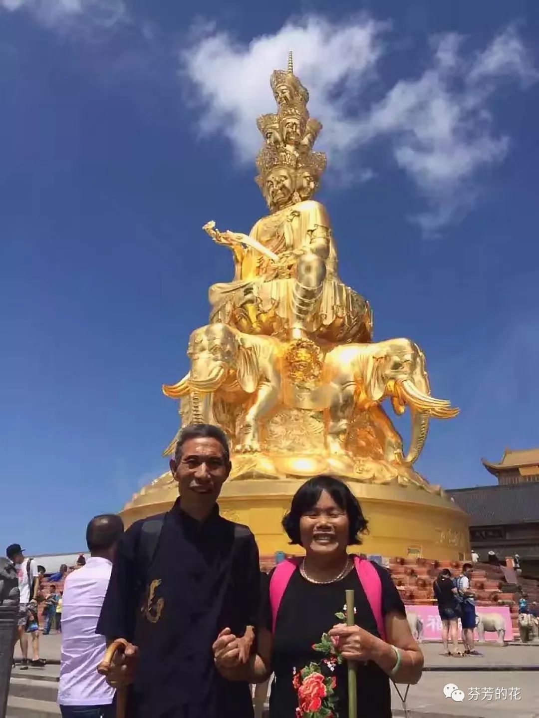 生老病死花落花开,生老病死花开花落