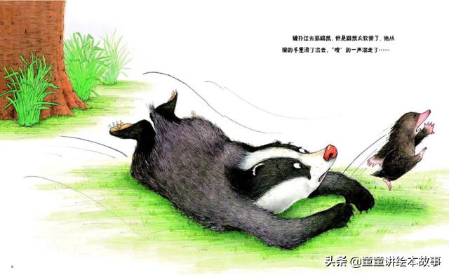 绘本故事獾的美餐教案,绘本故事獾的美餐开头素材