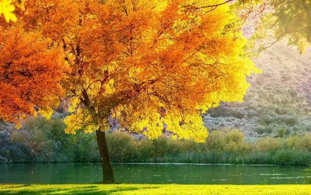 中国十大治家经营之道,中国十大商帮的经商之道