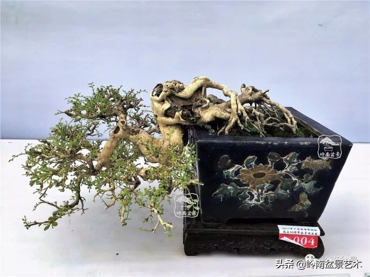 骞哥涔呬箙鐢滅敎铚滆湝,骞哥涔呬箙