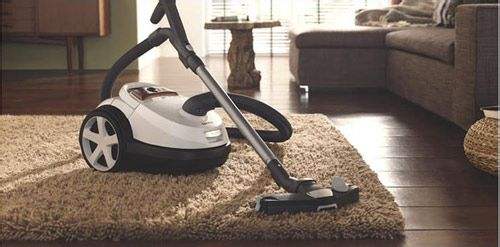 铲屎官该如何“拯救”猫咪乱尿,猫咪铲屎官的正确方法