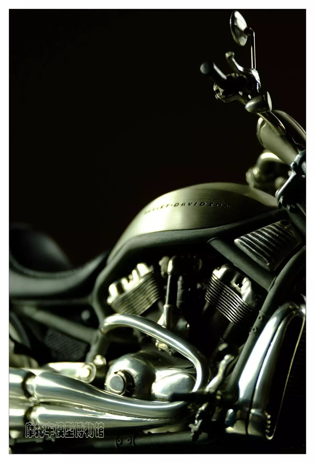 一枚小生,一枚小鲜肉视频